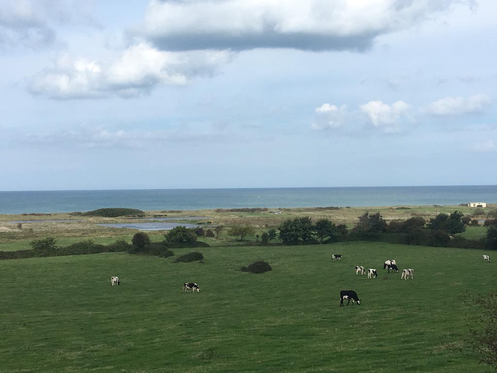 Le Mas Normand Ver-sur-Mer Buitenkant foto